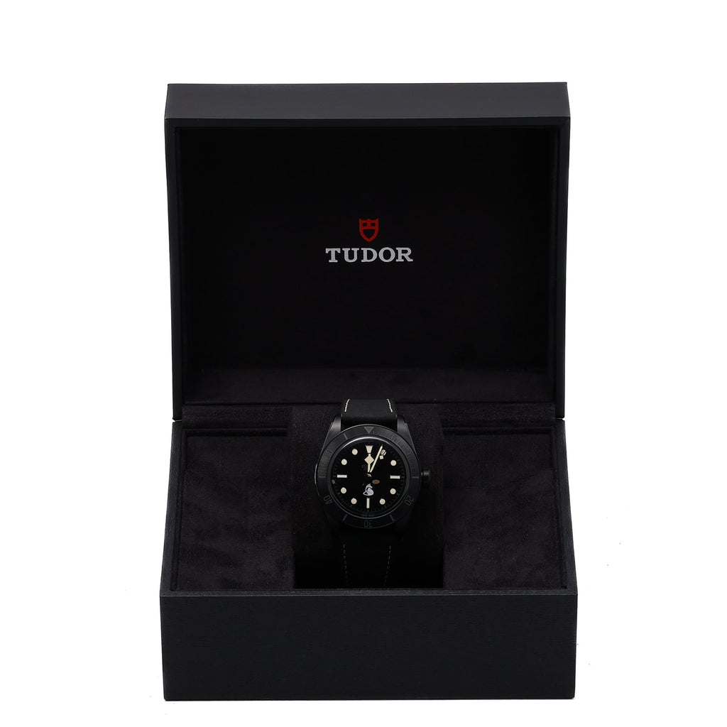 Tudor SPECIAL PROJECT TECHNICAL SURVEILLANCE UNIT
