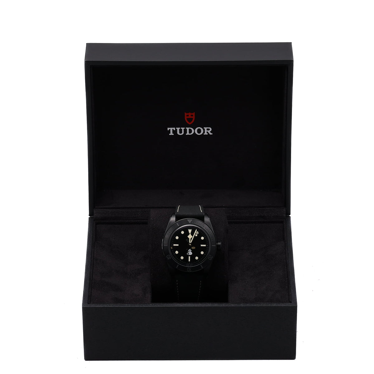 Tudor SPECIAL PROJECT TECHNICAL SURVEILLANCE UNIT