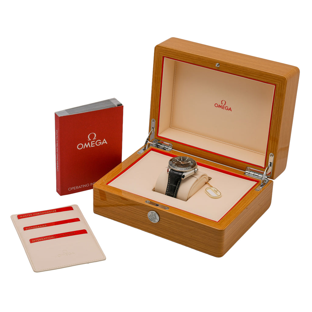 Omega SEAMASTER PLANET OCEAN