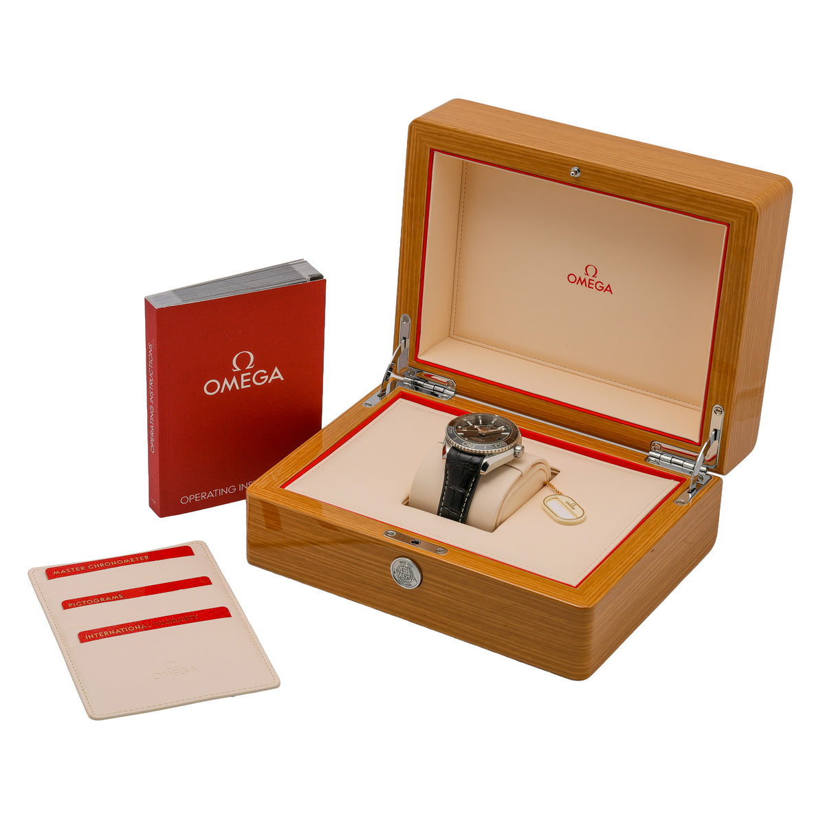 Omega SEAMASTER PLANET OCEAN