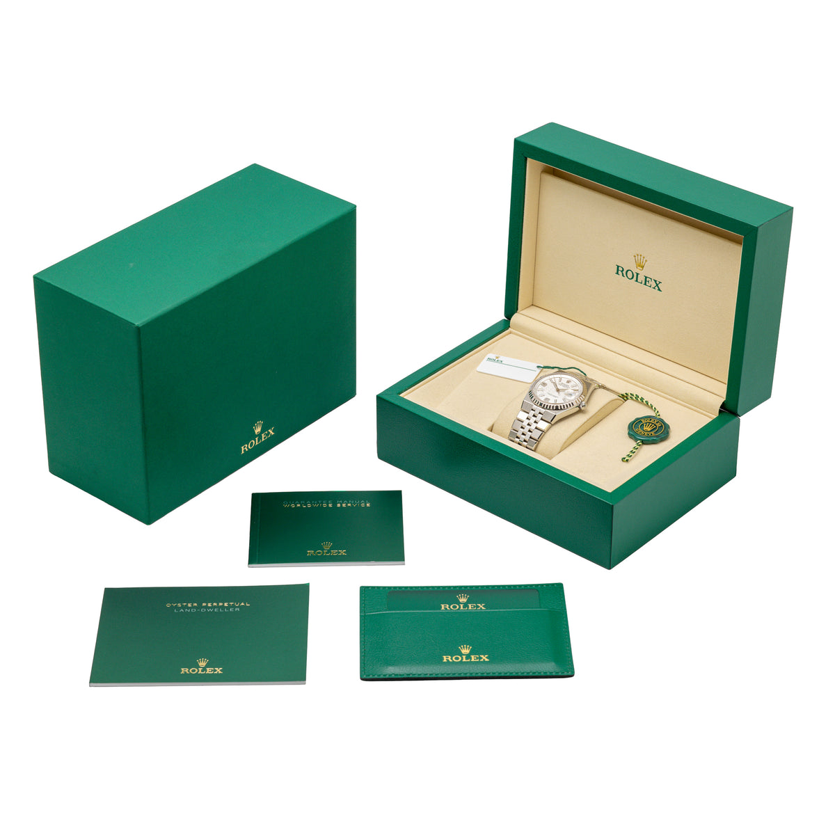 Rolex LAND-DWELLER 36