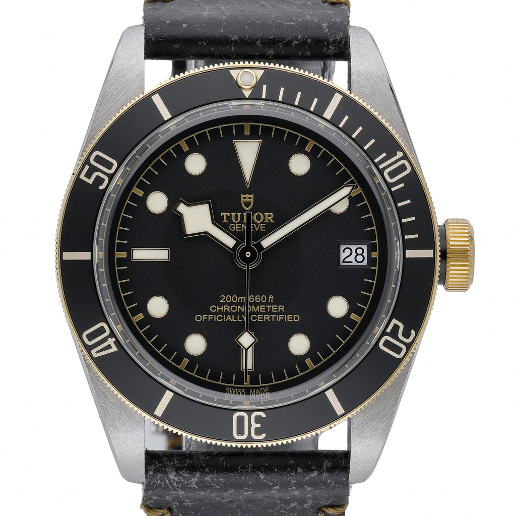 Tudor BLACK BAY S & G
