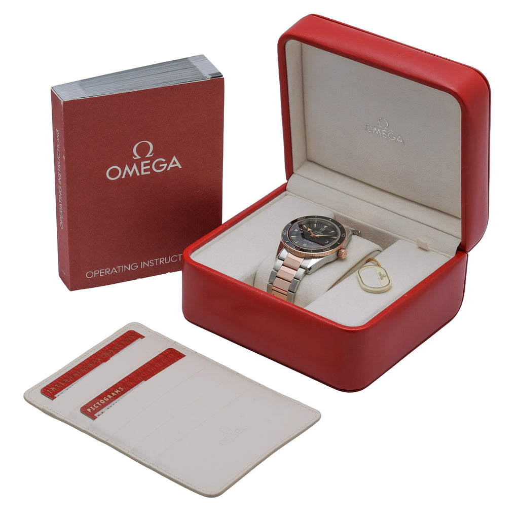 Omega SEAMASTER 300