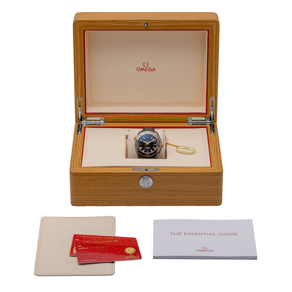 Omega SEAMASTER PLANET OCEAN