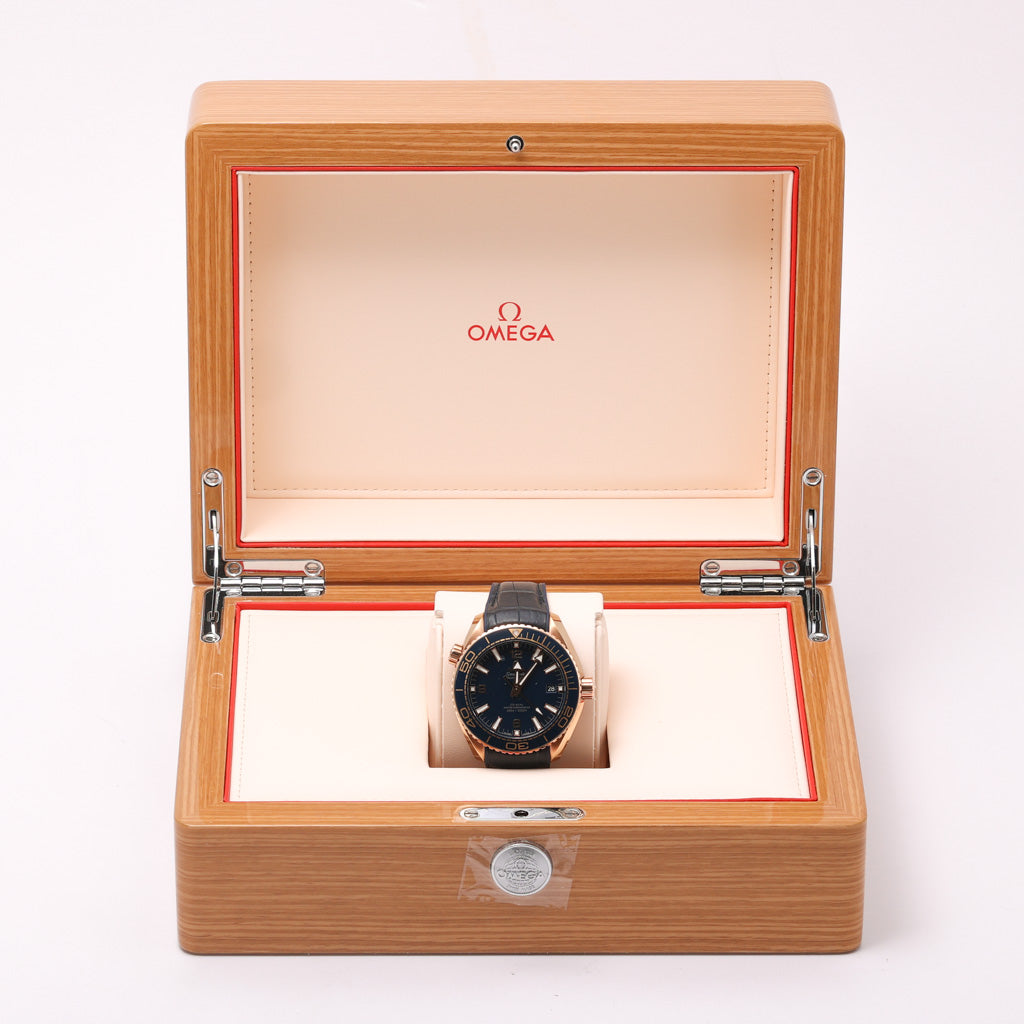 Omega SEAMASTER PLANET OCEAN
