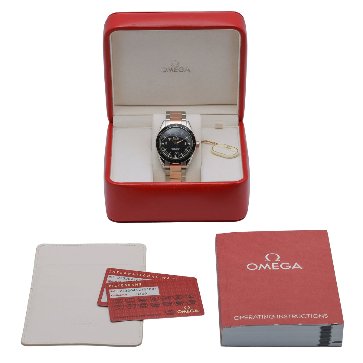 Omega SEAMASTER 300