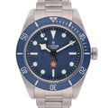 Tudor BLACK BAY 58 ROYALTY AND SPECIALIST PROTECTION - PLATINUM JUBILEE