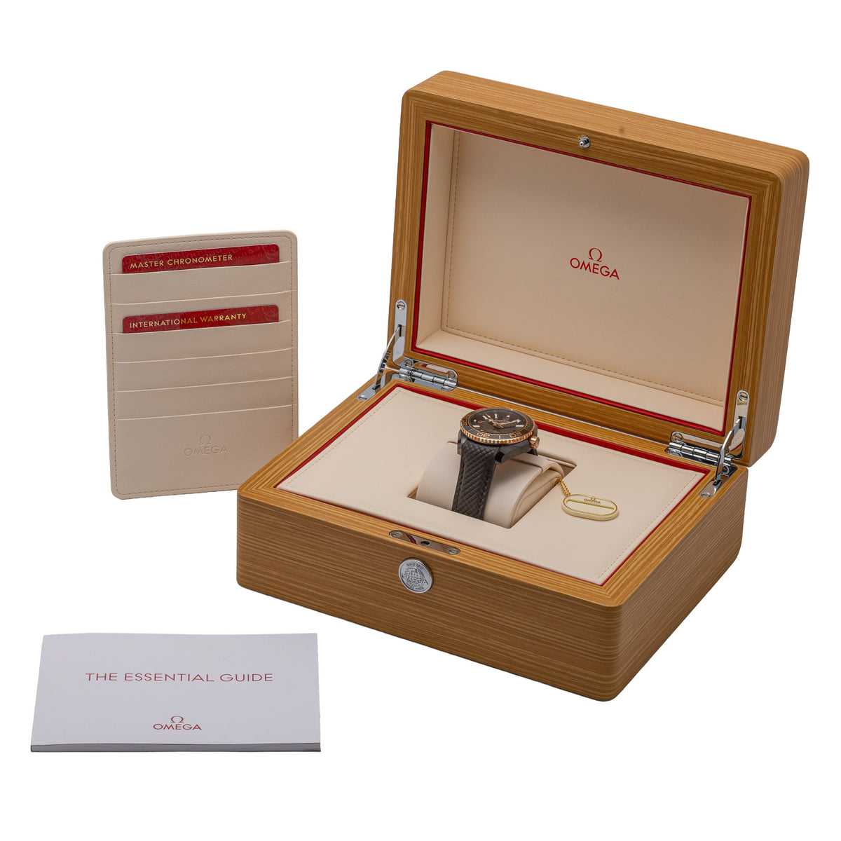 Omega SEAMASTER PLANET OCEAN