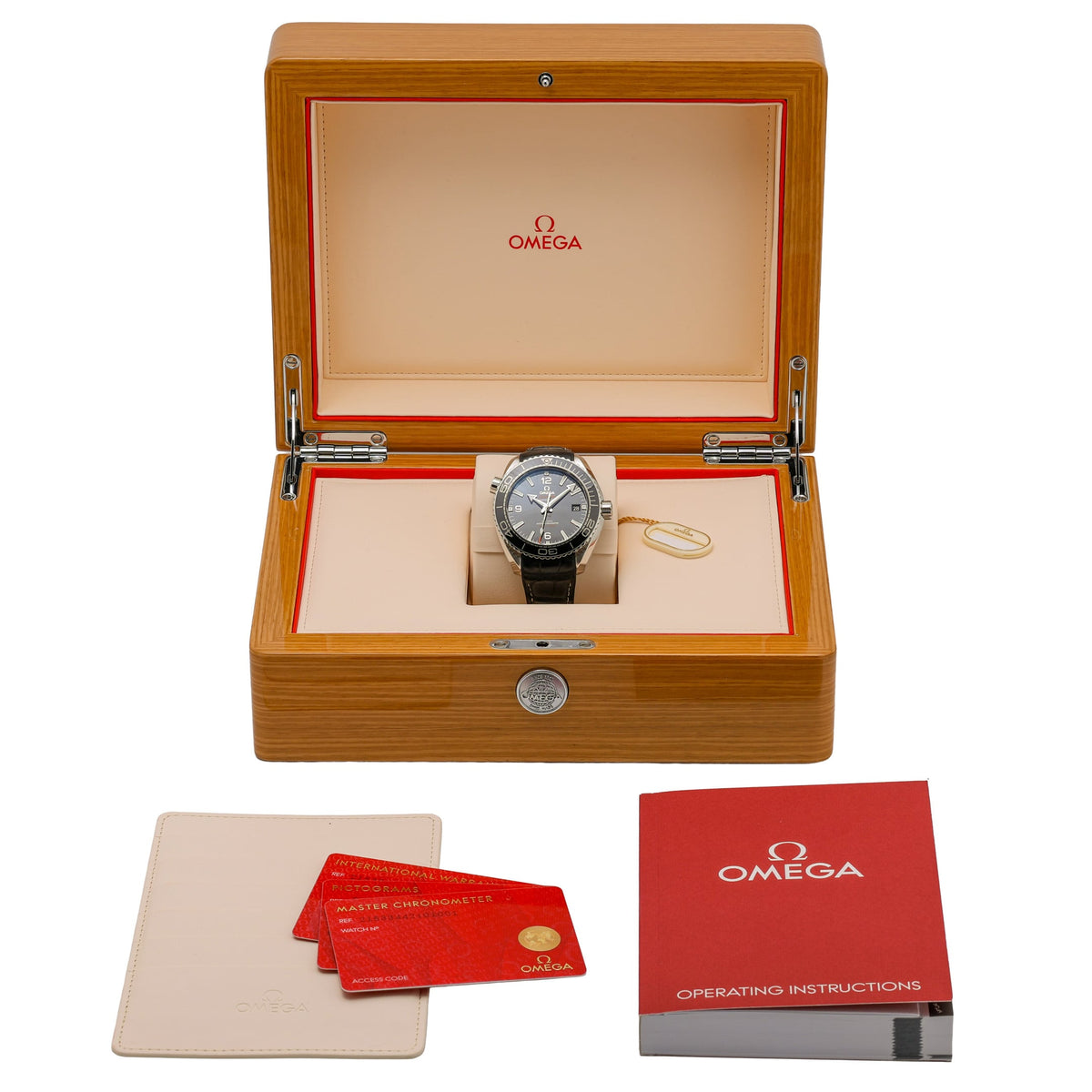 Omega SEAMASTER PLANET OCEAN