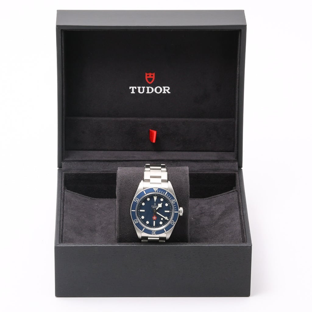 Tudor BLACK BAY 58 ROYALTY AND SPECIALIST PROTECTION - PLATINUM JUBILEE