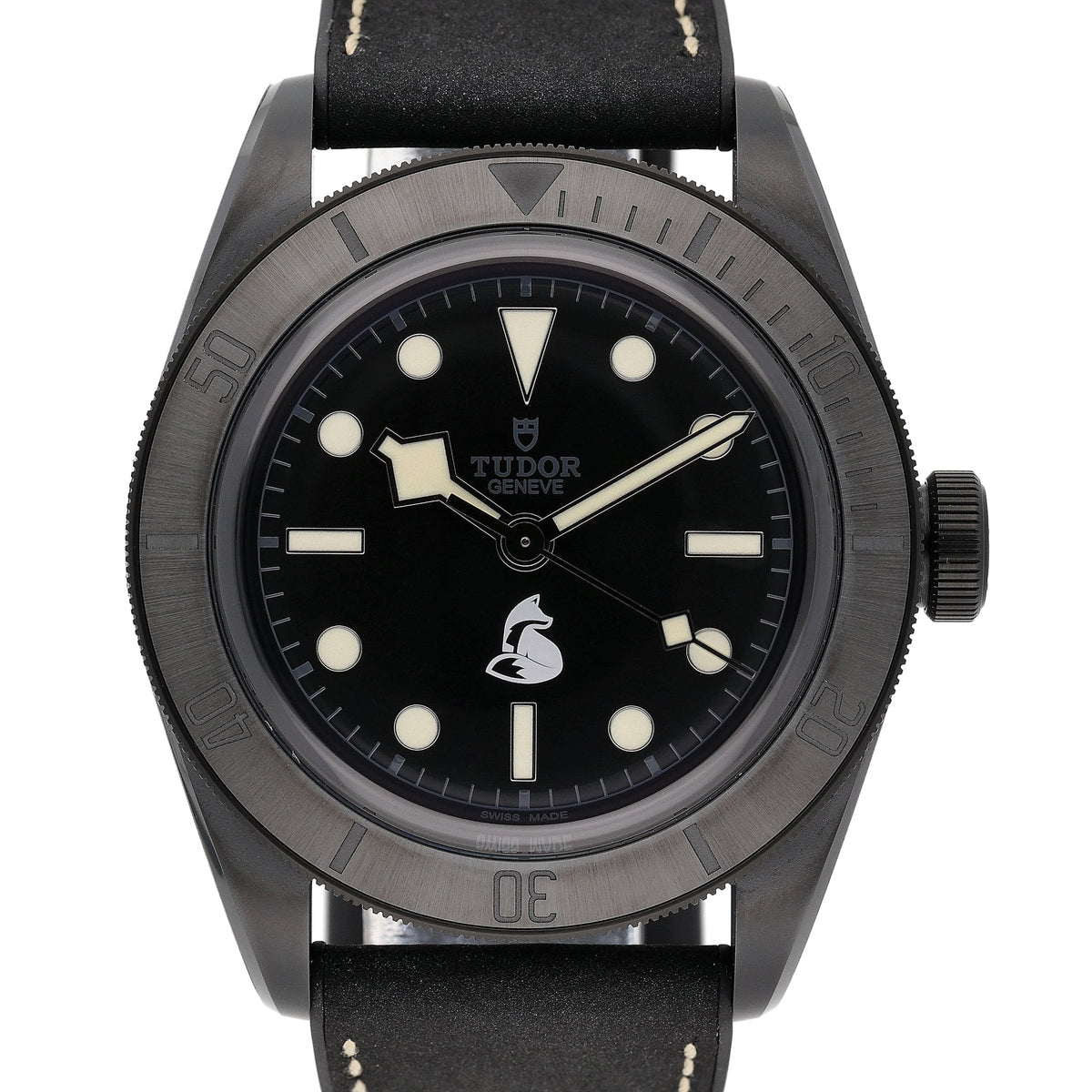 Tudor SPECIAL PROJECT TECHNICAL SURVEILLANCE UNIT