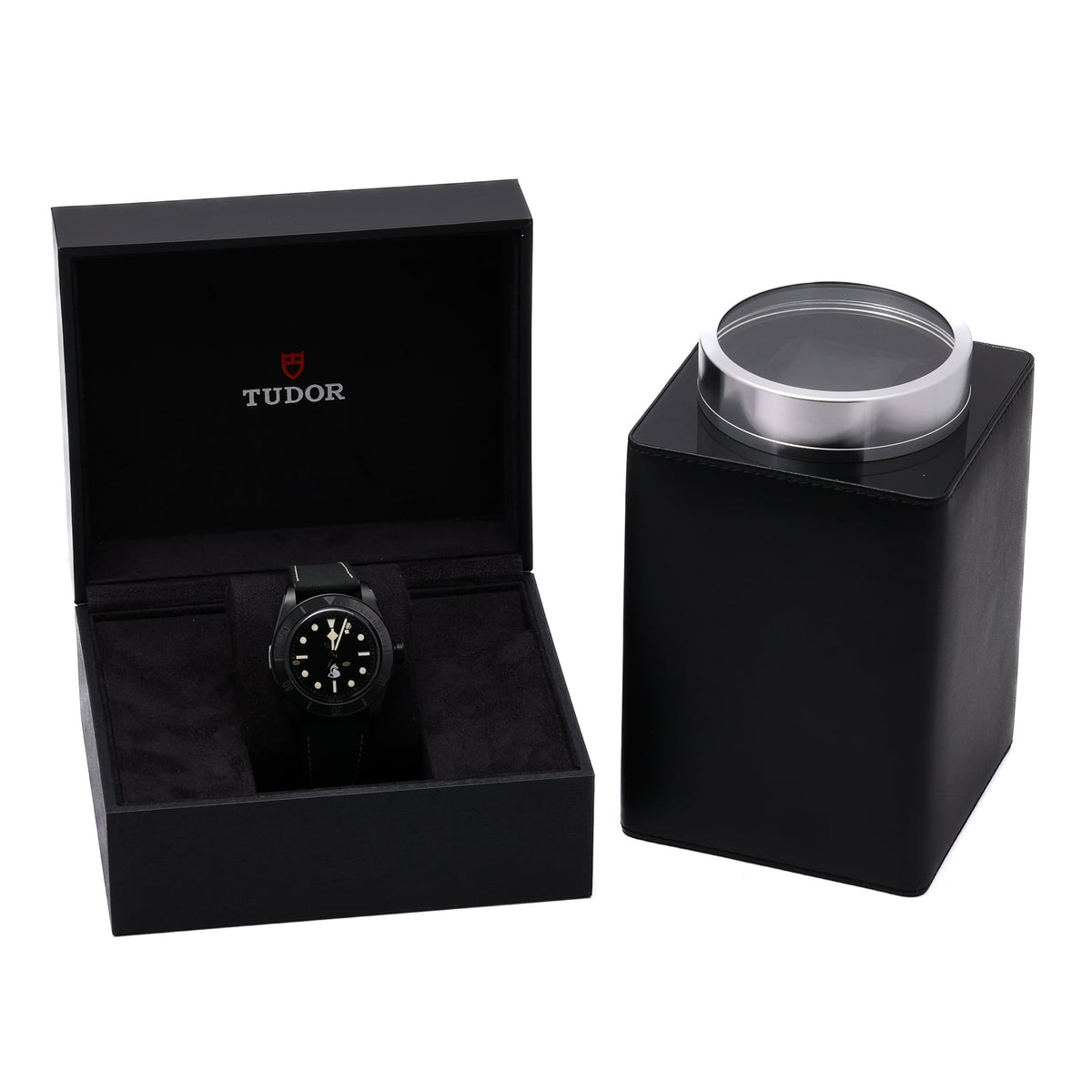 Tudor SPECIAL PROJECT TECHNICAL SURVEILLANCE UNIT