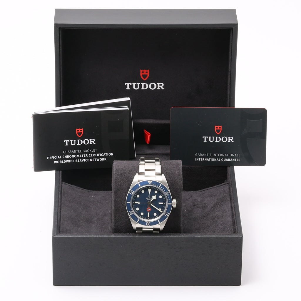 Tudor BLACK BAY 58 ROYALTY AND SPECIALIST PROTECTION - PLATINUM JUBILEE