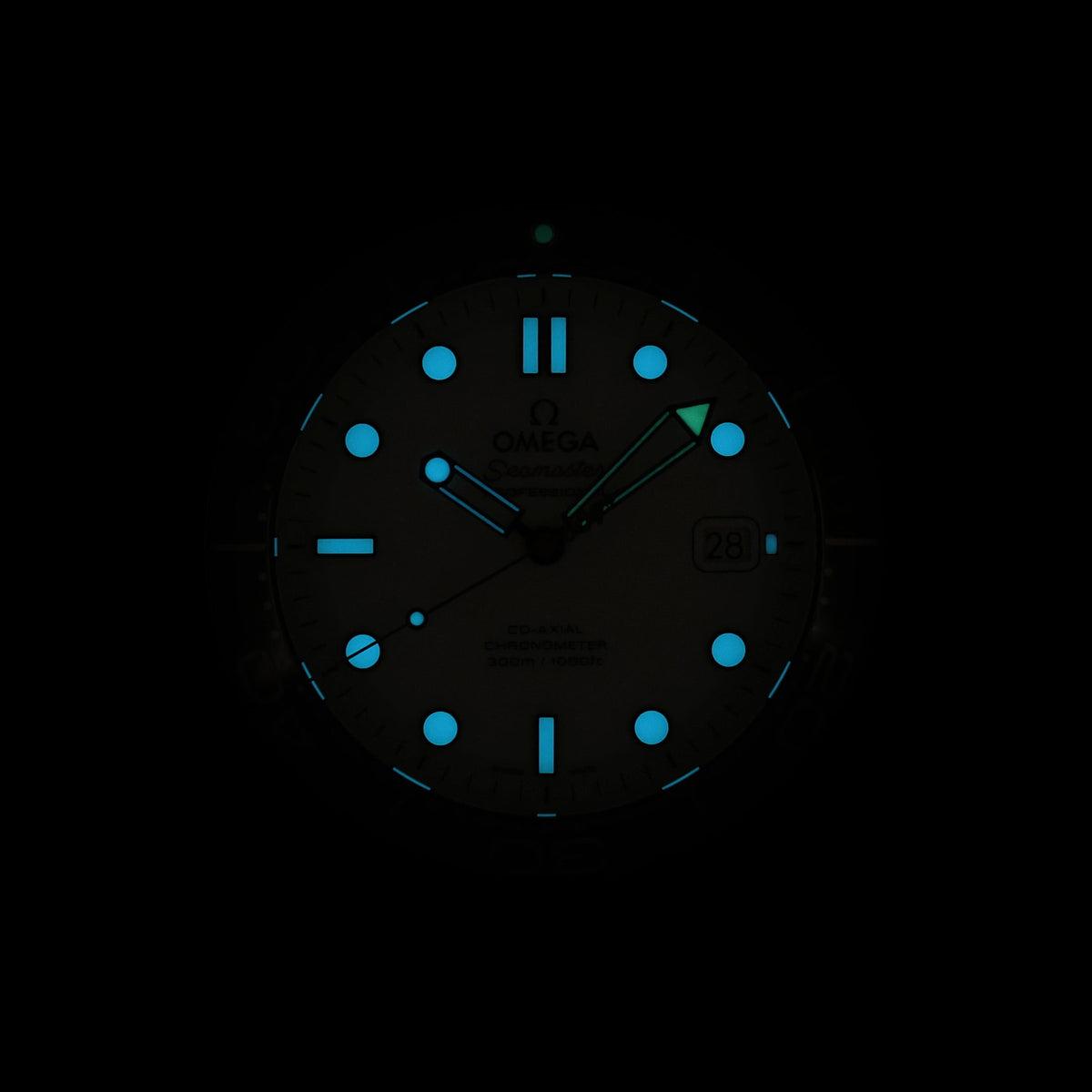Omega SEAMASTER DIVER 300