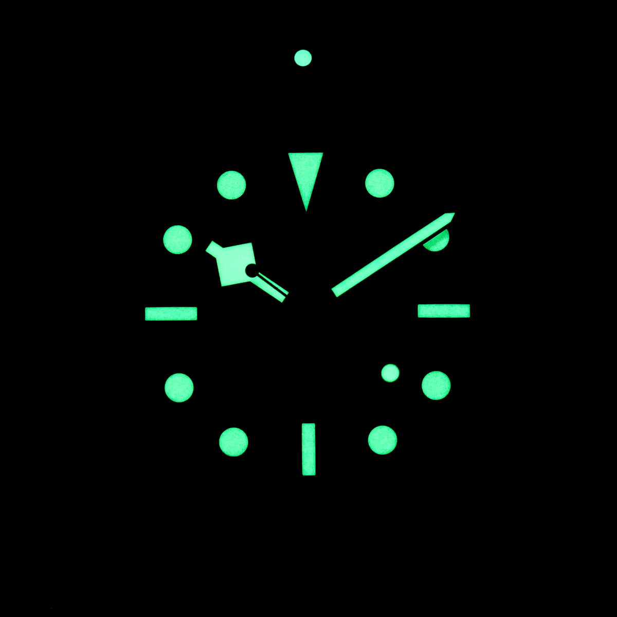 Tudor BLACK BAY