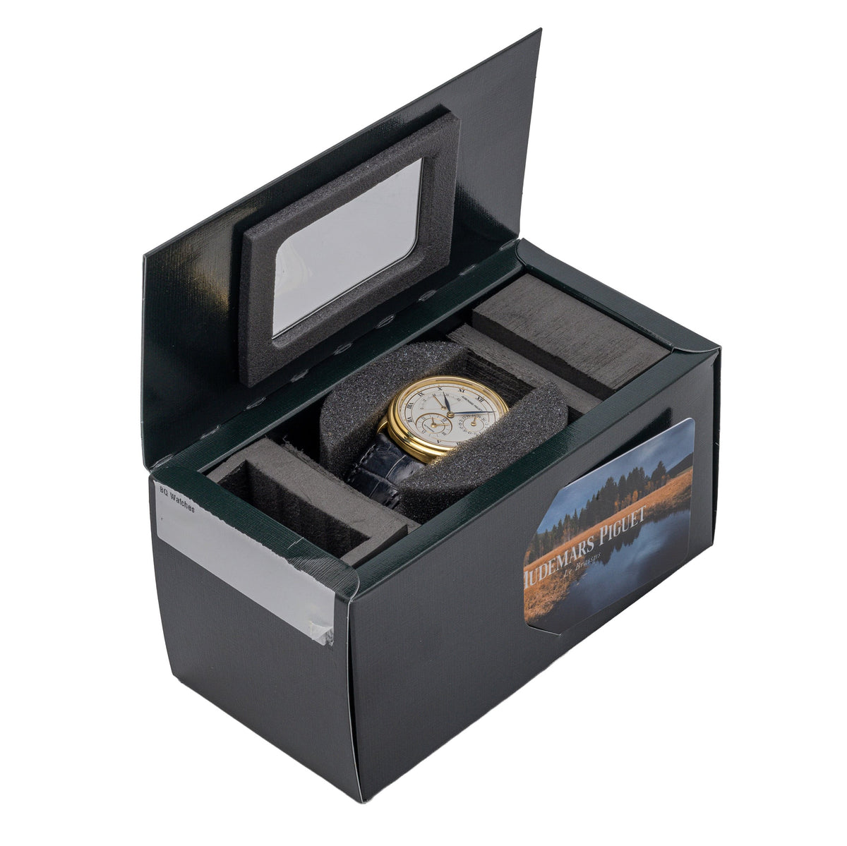 Audemars Piguet DUAL TIME